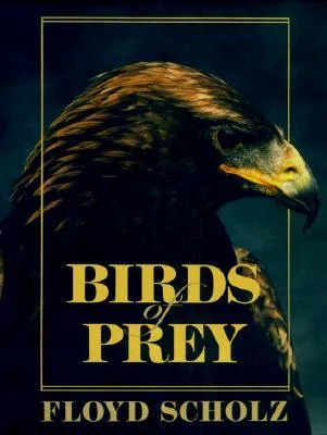 Birds of Prey