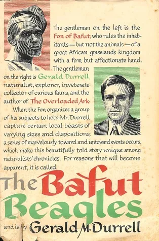 The Bafut Beagles