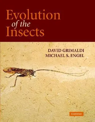 Evolution of the Insects