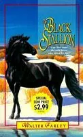 The Black Stallion