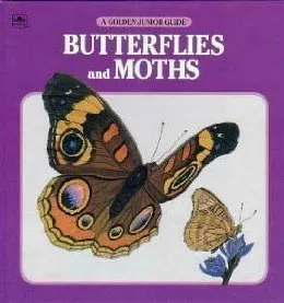 Butterflies and Moths