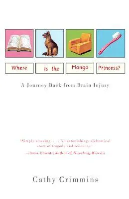 Where Is the Mango Princess?: A Journey Back from Brain Injury