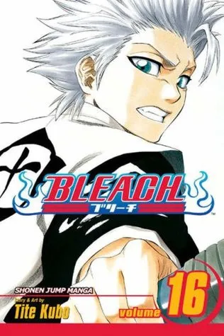 Bleach, Volume 16