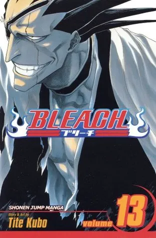 Bleach, Volume 13