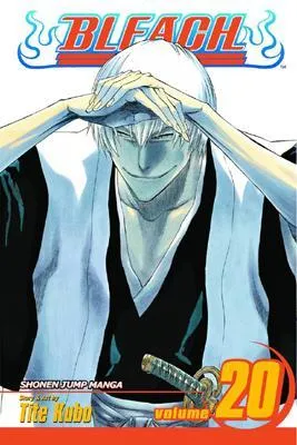 Bleach, Volume 20