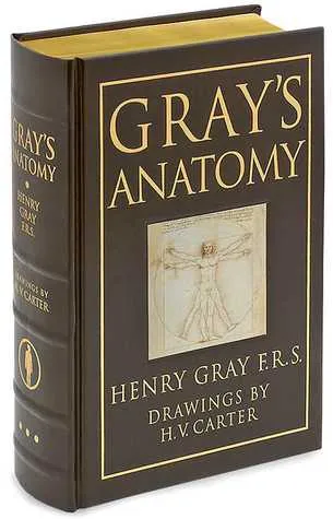 Gray's Anatomy