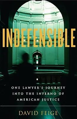 Indefensible: One Lawyer's Journey Into the Inferno of American Justice