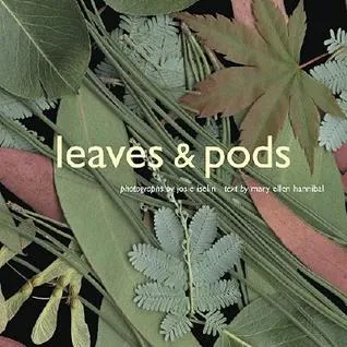 Leaves & Pods