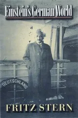 Einstein's German World