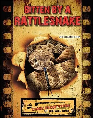 Bitten by a Rattlesnake