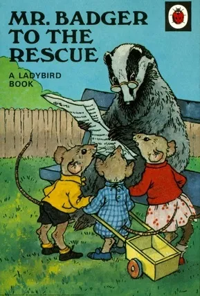 Mr. Badger To The Rescue (Rhyming Stories)