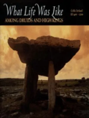 What Life Was Like Among Druids and High Kings: Celtic Ireland, AD 400-1200