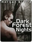 Dark Forest Nights