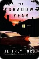 The Shadow Year