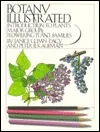 Botany Illustrated: Introduction To Plants, Major Groups, Flowering Plant Families