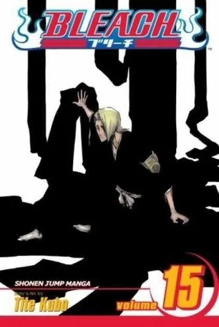 Bleach, Volume 15