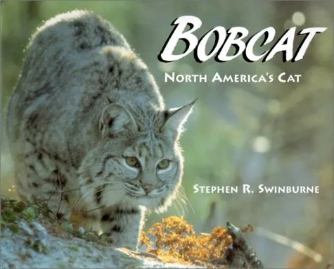 Bobcat