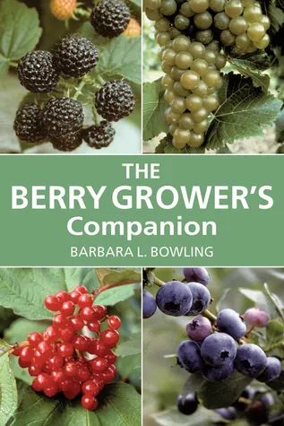 The Berry Grower