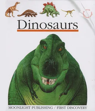 Dinosaurs