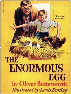 The Enormous Egg