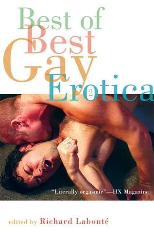 Best of Best Gay Erotica, Volume 2