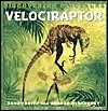 Velociraptor (Olshevsky. Discovering Dinosaurs.)