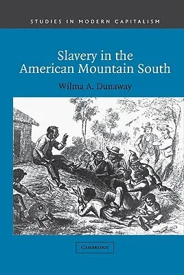 Slavery in the American Mountain South