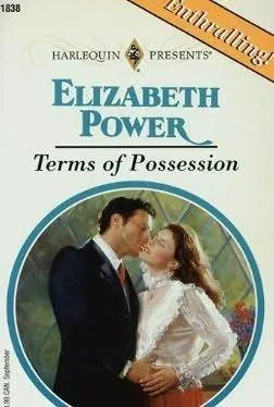 Terms of Possession (Romance)