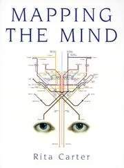 Mapping The Mind