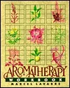 Aromatherapy Workbook