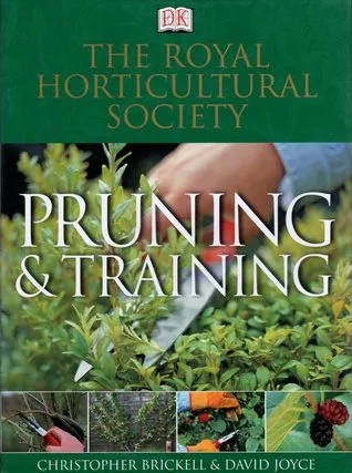 Rhs Pruning And Training