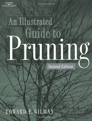 An Illustrated Guide to Pruning