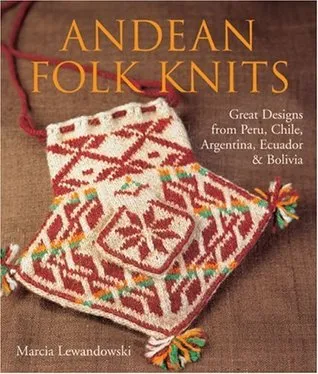 Andean Folk Knits: Great Designs from Peru, Chile, Argentina, Ecuador  Bolivia