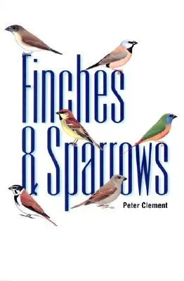 Finches & Sparrows: An Identification Guide