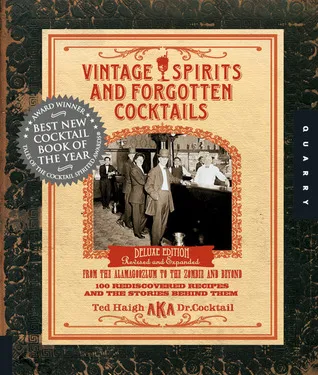 Vintage Spirits and Forgotten Cocktails: From the Alamagoozlum to the Zombie and Beyond, 100 Rediscovered Recipes and the Stories Behind Them