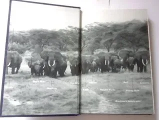 Among the Elephants