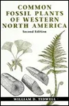 Common Fossil Plants of Western North America