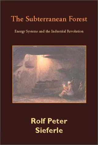 Subterranean Forest: Energy Systems and the Industrial Revolution