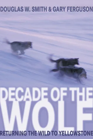 Decade of the Wolf: Returning the Wild to Yellowstone