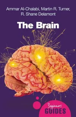 The Brain: A Beginner's Guide