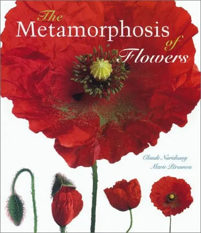 The Metamorphosis of Flowers