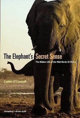 The Elephant's Secret Sense: The Hidden Life of the Wild Herds of Africa