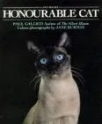 Honourable Cat