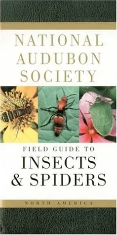 National Audubon Society Field Guide to Insects and Spiders: North America