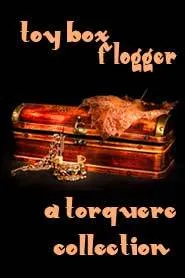 Toy Box: Flogger