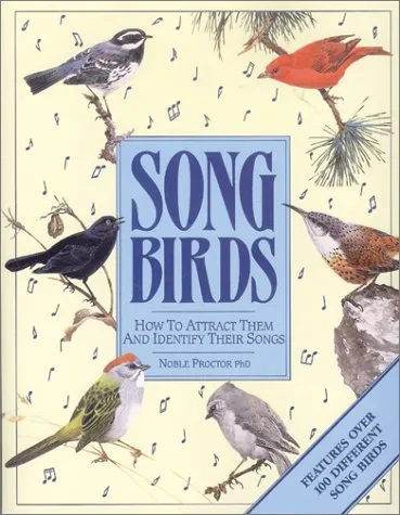 Songbirds: How to Attract Them and Identify Their Songs