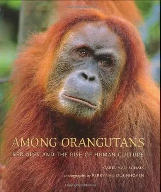 Among Orangutans: Red Apes and the Rise of Human Culture