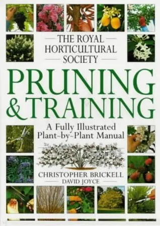 Pruning & Training