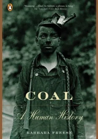 Coal: A Human History