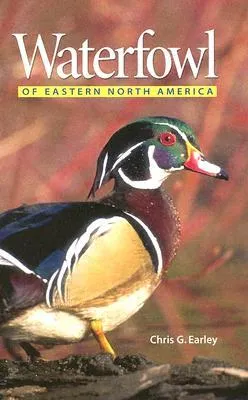 Waterfowl of Eastern North America